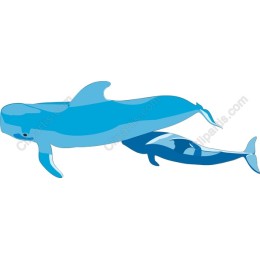 Whale - Ocean's Gentle Giants