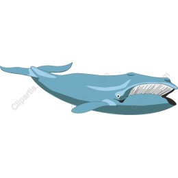 Majestic Whale