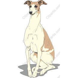 Elegant Seated Dog