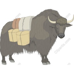 Majestic Yak with Bales