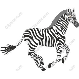 Running Zebra