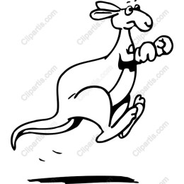 Playful Kangaroo