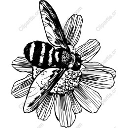 Bee and Flower