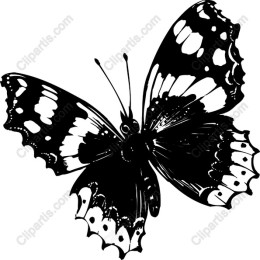 Elegant Black and White Butterfly