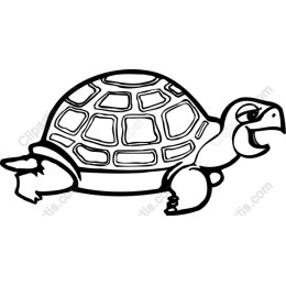 Charming Happy Turtle