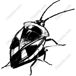 Intricate Bug