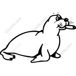 Playful Seal