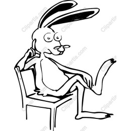 Chill Bunny