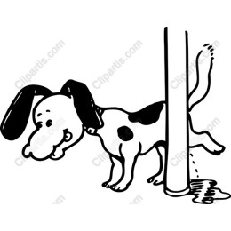 Playful Dog Peeking