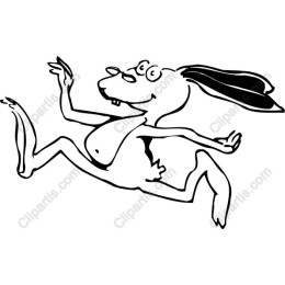 Playful Running Rabbit