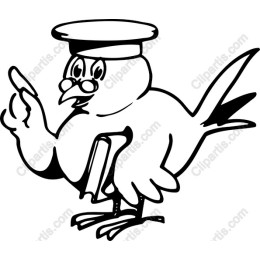 Wise Bird