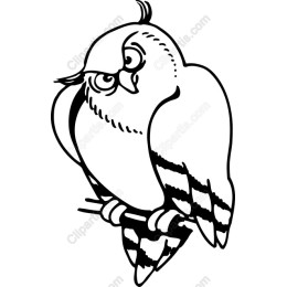 Charming Owl