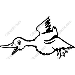 Whimsical Flying Duck