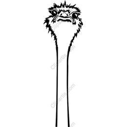 Whimsical Ostrich