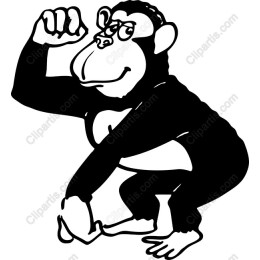 Cheerful Monkey