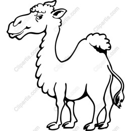 Whimsical Camel