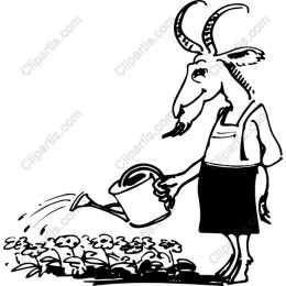Whimsical Goat Gardener