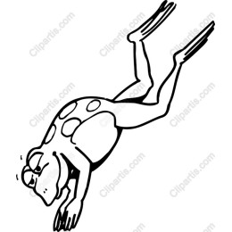 Playful Frog