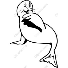 Playful Seal