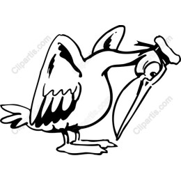 Whimsical Bird