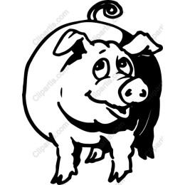 Playful Pig