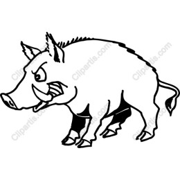 Fierce Wild Boar