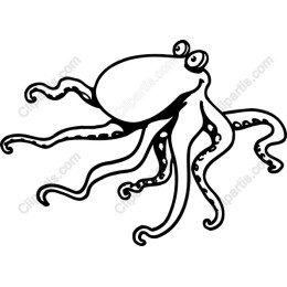 Charming Playful Octopus