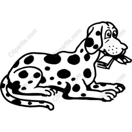 Playful Spotted Dog