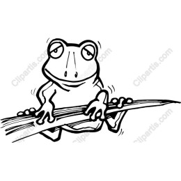 Charming Frog
