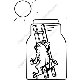 Frog in a Jar