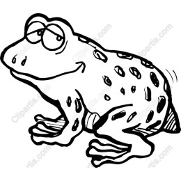 Whimsical Frog