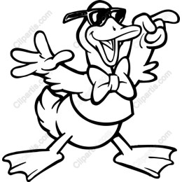 Stylish Duck