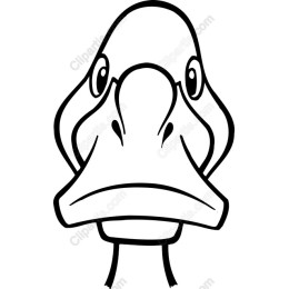 Whimsical Duck Face