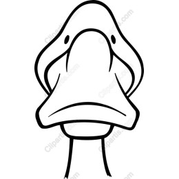Whimsical Duck