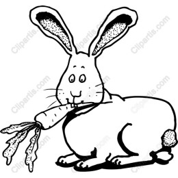 Charming Bunny with Carrot