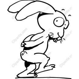 Whimsical Rabbit