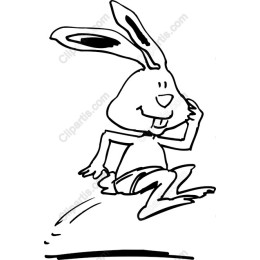 Playful Bunny