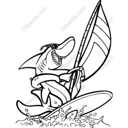 Playful Shark Windsurfing