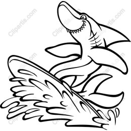 Playful Shark Surfing