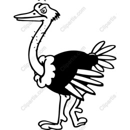 Ostrich Cartoon