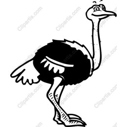 Playful Ostrich