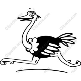 Whimsical Ostrich