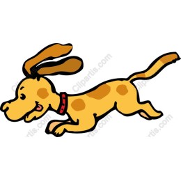 Joyful Dog