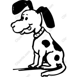 Adorable Dog