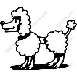 Poodle - Elegant and Playful