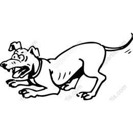 Excited Dog