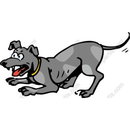 Playful Dog