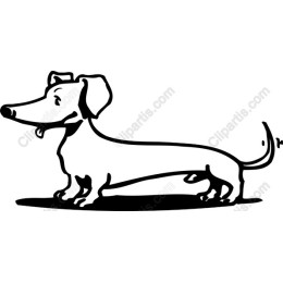 Playful Dachshund