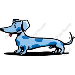 Playful Blue Spotted Dachshund