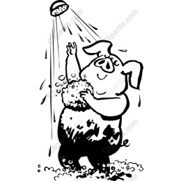 Playful Pig Shower